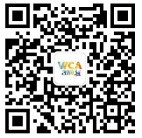 WCA2015战报 DOTA2揭幕战IG险胜EP